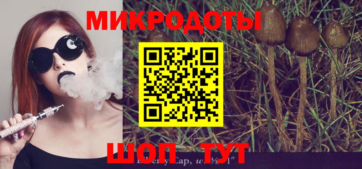 Галлюциногенные грибы Magic Shrooms Кызыл